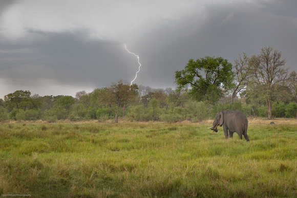 Okavango Storm